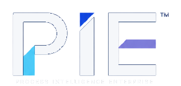 PIE Process Intelligence Enterprise